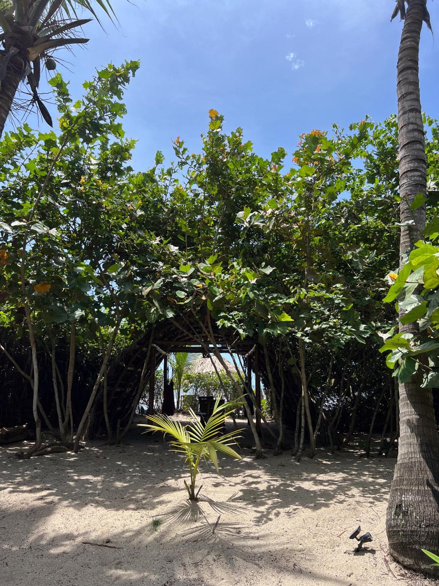 Lote 10 Glamping Hotel Guachaca Exterior photo